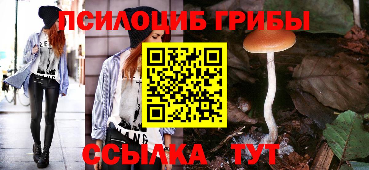 Галлюциногенные грибы мухоморы Красноармейск